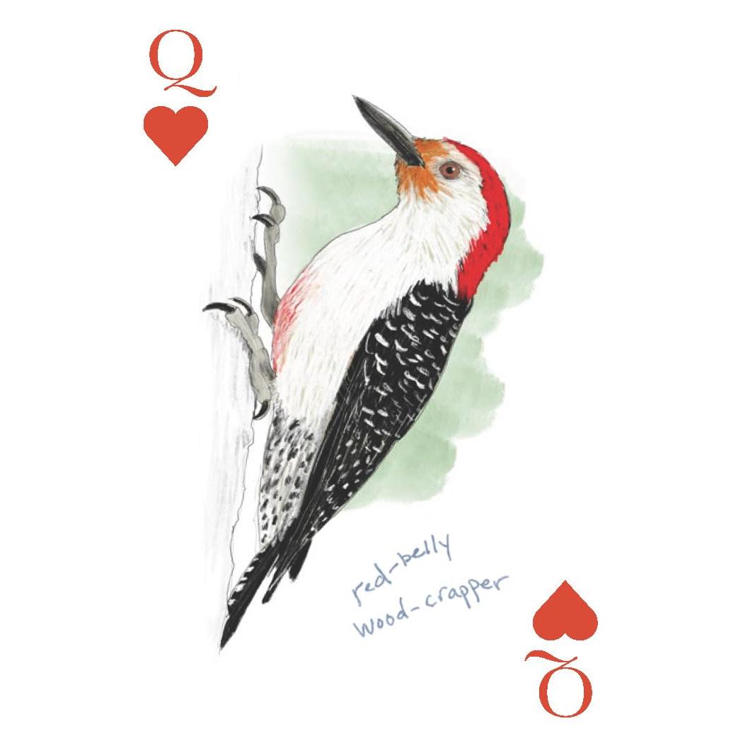 Chronicle - Field Guide to Dumb Birds - Playing Cards