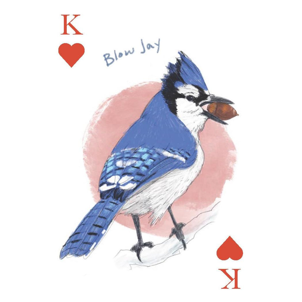 Chronicle - Field Guide to Dumb Birds - Playing Cards