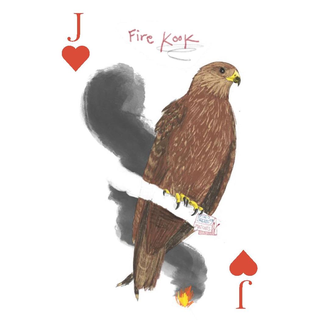 Chronicle - Field Guide to Dumb Birds - Playing Cards