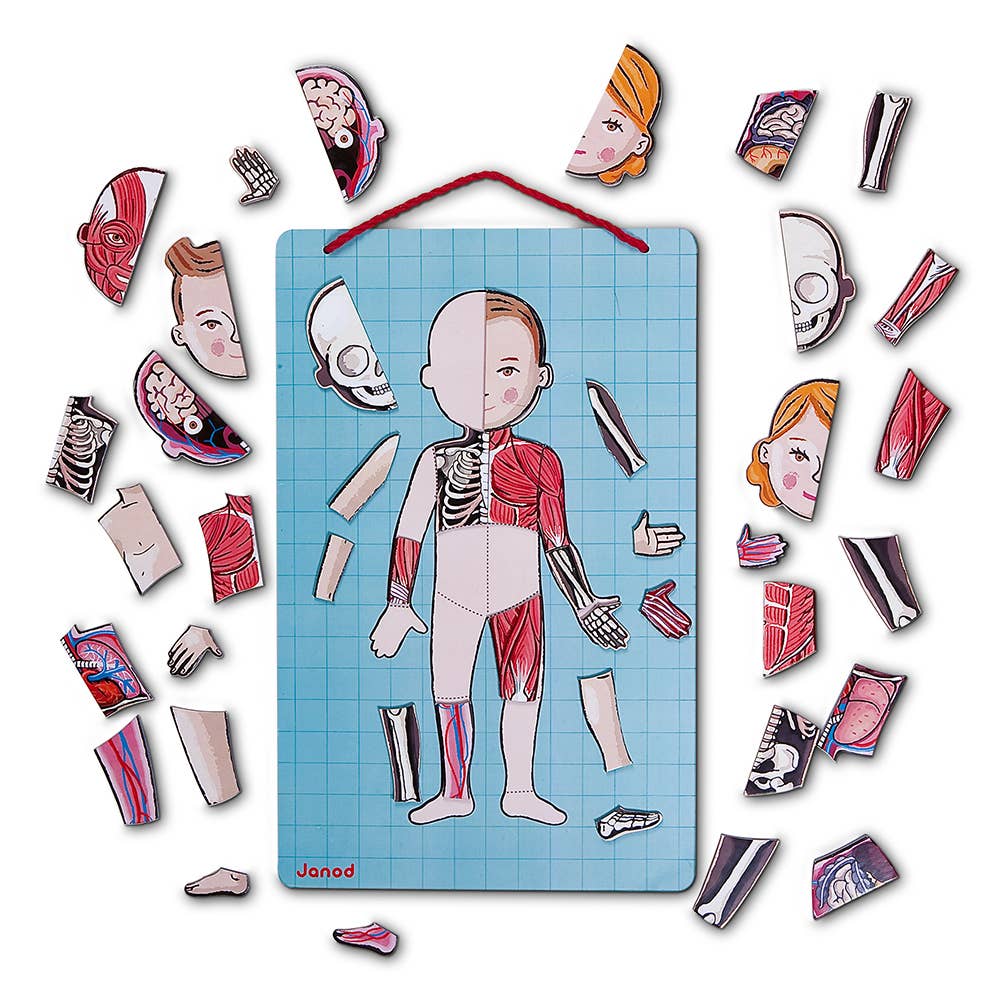 Janod - Bodymagnet | Educational Human Body Game | 76 PCS | Ages 7+