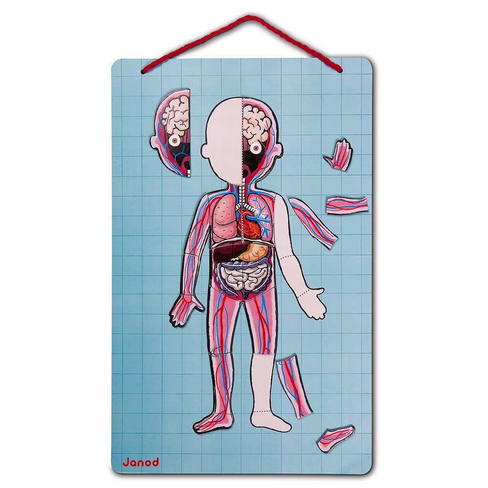 Janod - Bodymagnet | Educational Human Body Game | 76 PCS | Ages 7+