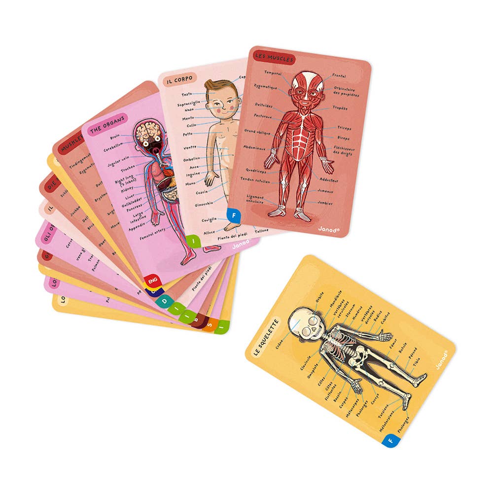 Janod - Bodymagnet | Educational Human Body Game | 76 PCS | Ages 7+