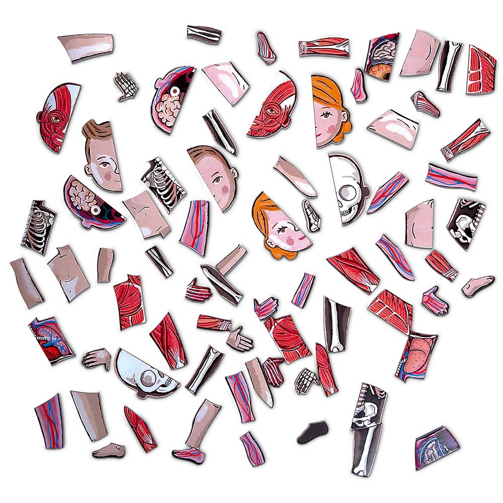 Janod - Bodymagnet | Educational Human Body Game | 76 PCS | Ages 7+