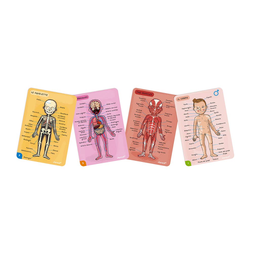 Janod - Bodymagnet | Educational Human Body Game | 76 PCS | Ages 7+