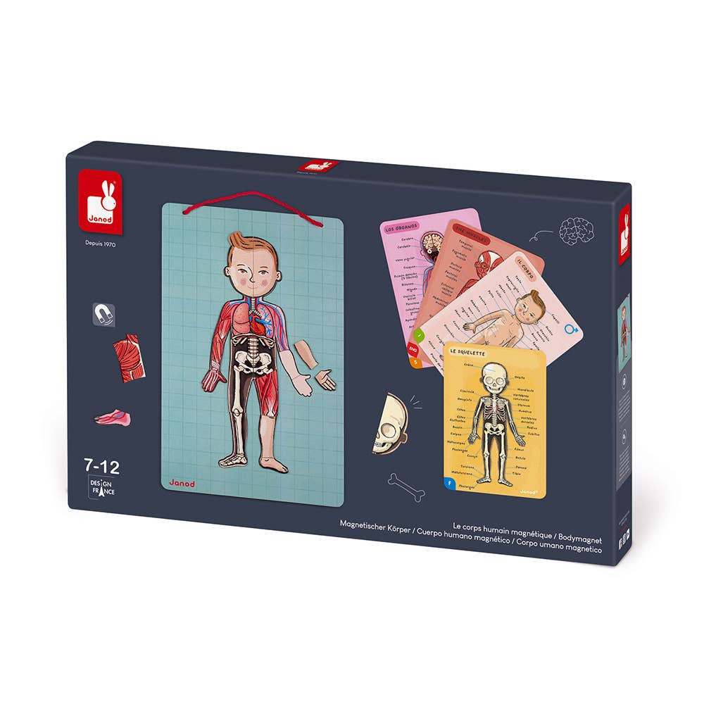 Janod - Bodymagnet | Educational Human Body Game | 76 PCS | Ages 7+