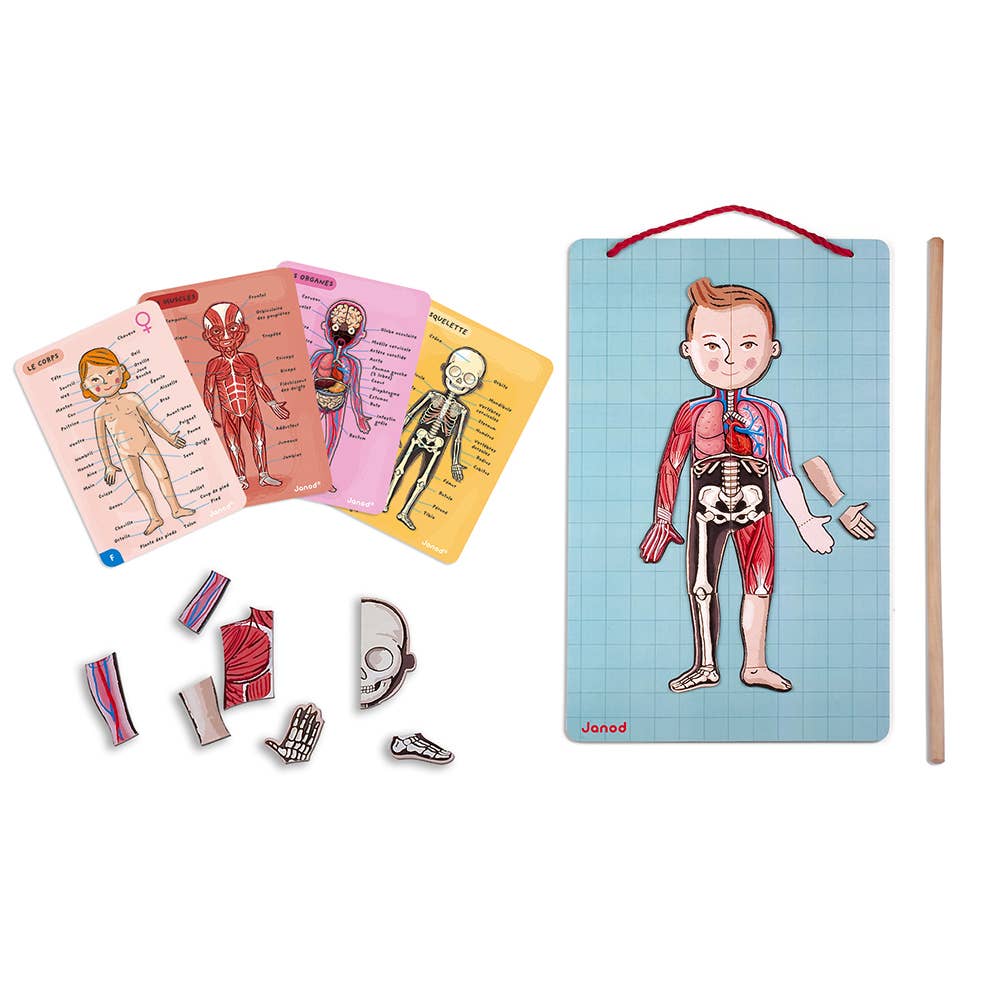 Janod - Bodymagnet | Educational Human Body Game | 76 PCS | Ages 7+